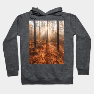 Foggy morning autumn forest Hoodie